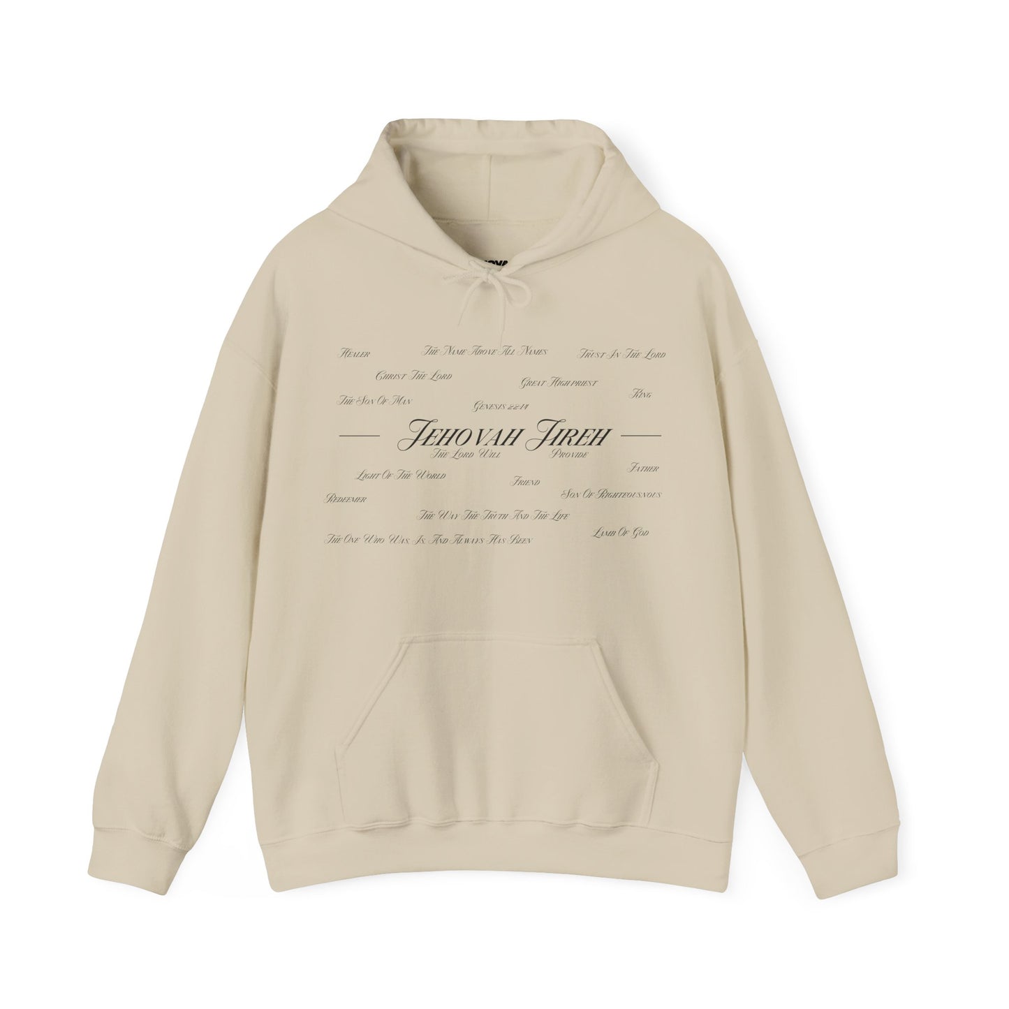 Jesus Is the Author Of Life Hoodie