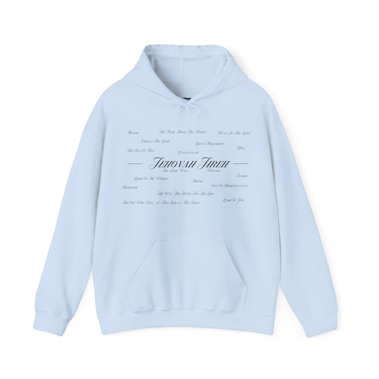 Jesus Is the Author Of Life Hoodie