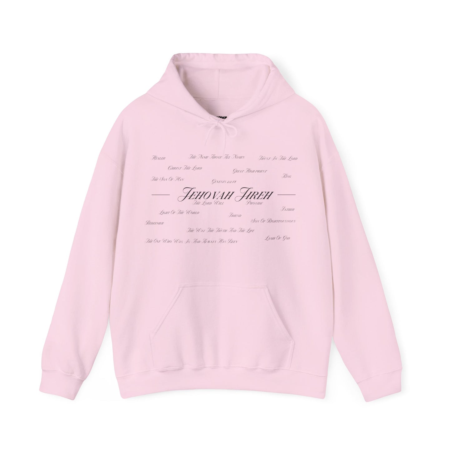 Jesus Is the Author Of Life Hoodie