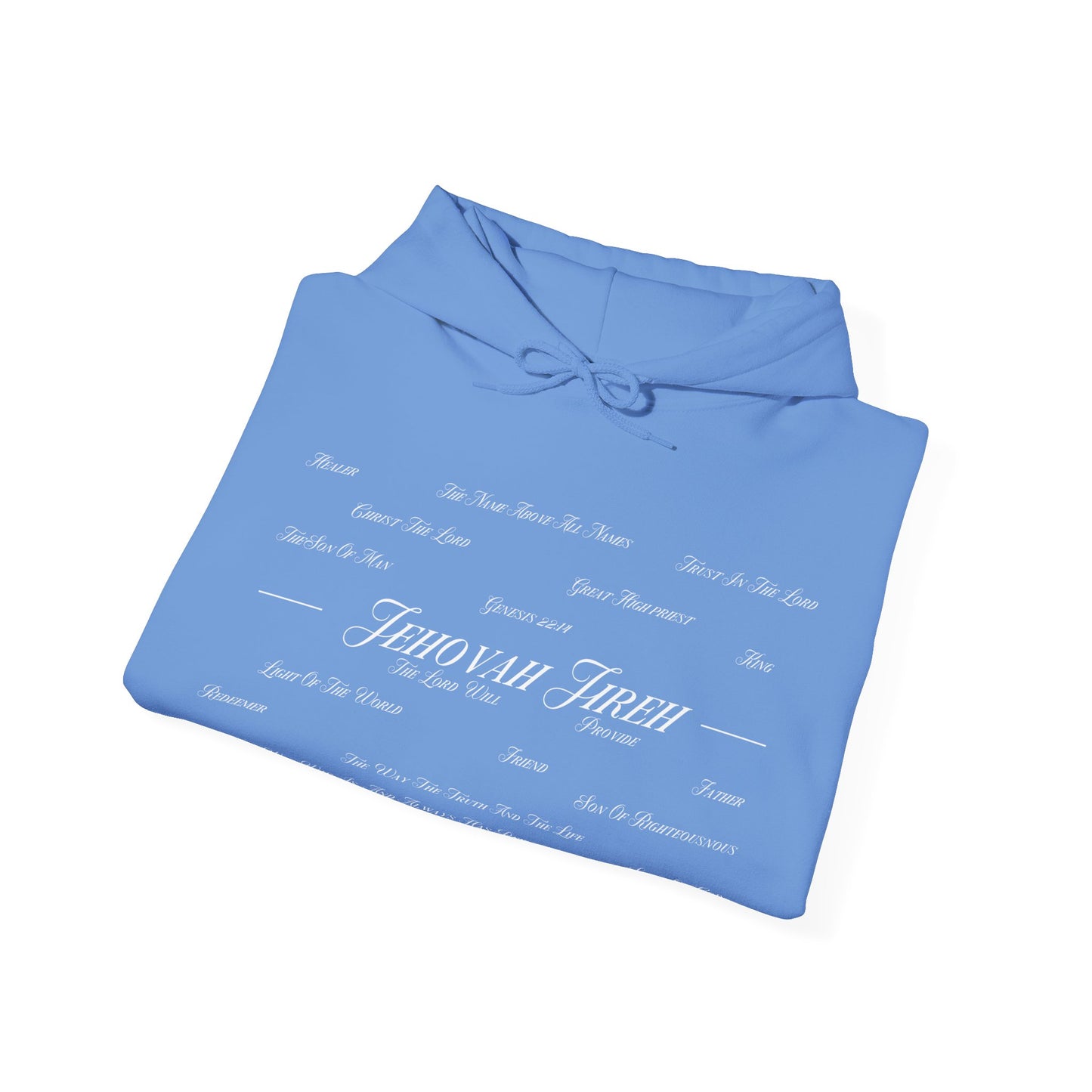Jesus Is the Author Of Life Hoodie